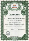 Сертификат школы руководителей